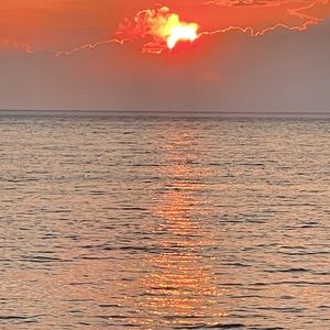 ISO BELLA SWAN CLOTHES AND ACCESSORIES please lol